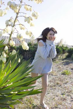 四虎影视大全免费高清版