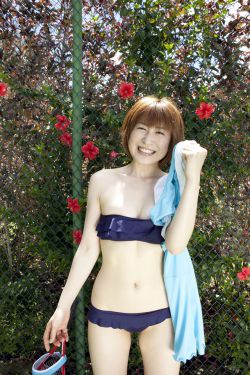 陆阿采与黄飞鸿